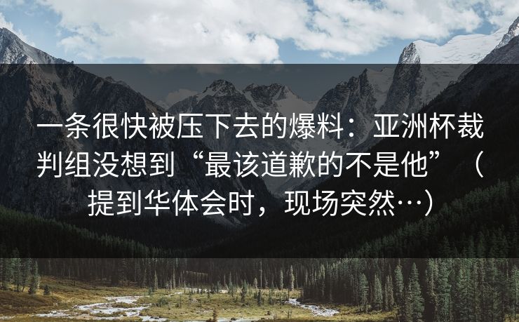 一条很快被压下去的爆料:亚洲杯裁判组没想到“最该道歉的不是他”(提到华体会时,现场突然…) 一条很快被压下去的爆料:亚洲杯裁判组没想到“最该道歉的不是他”(提到华体会时,现场突然…)