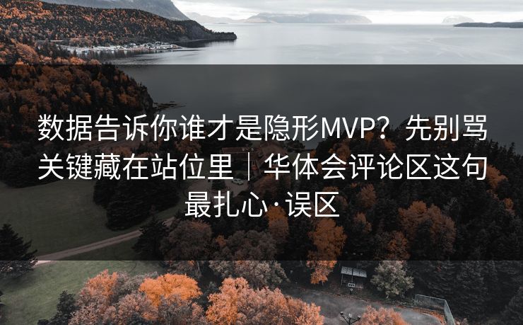数据告诉你谁才是隐形MVP？先别骂关键藏在站位里｜华体会评论区这句最扎心·误区