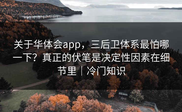 关于华体会app，三后卫体系最怕哪一下？真正的伏笔是决定性因素在细节里｜冷门知识