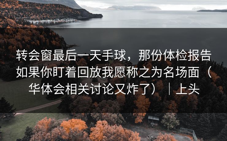 转会窗最后一天手球，那份体检报告如果你盯着回放我愿称之为名场面（华体会相关讨论又炸了）｜上头